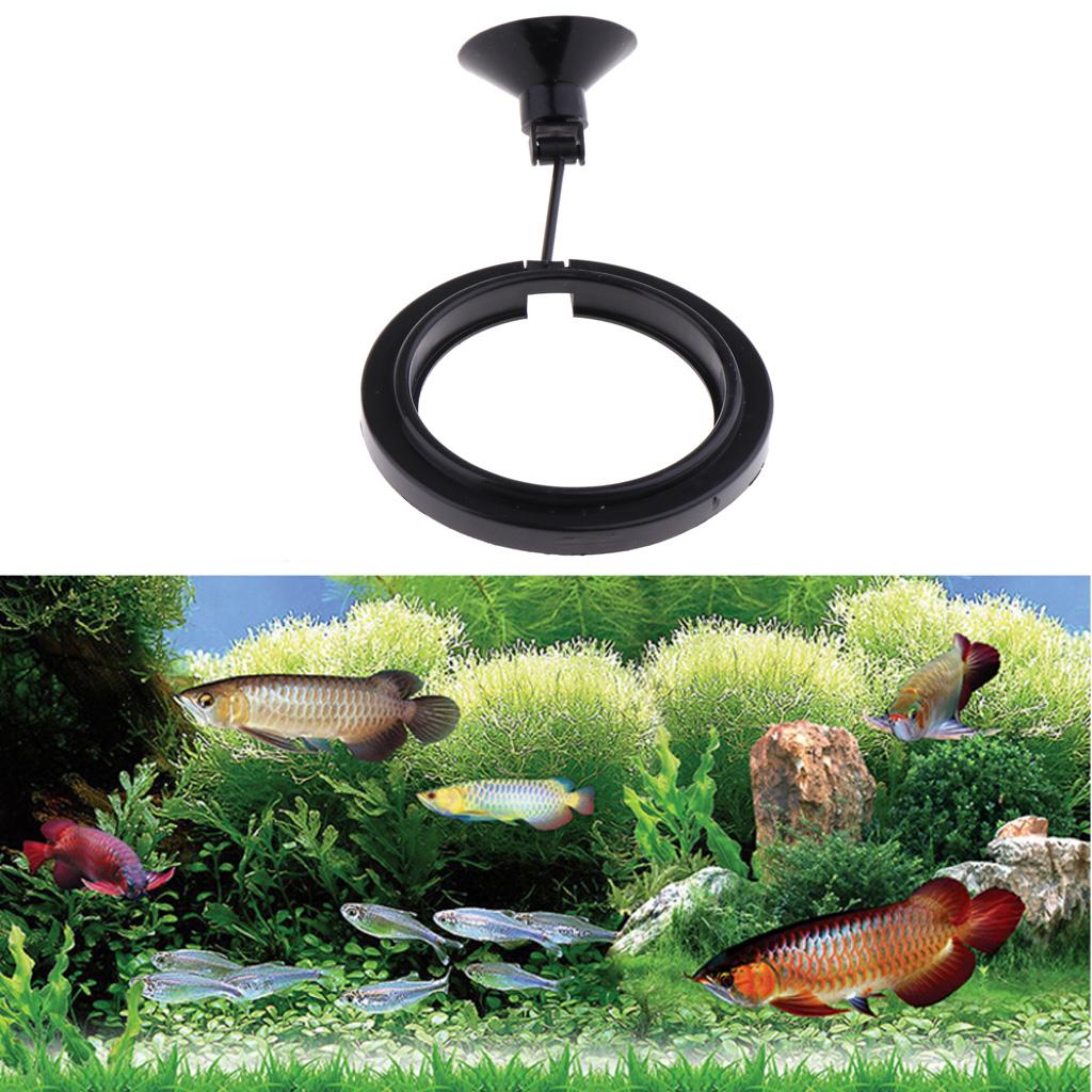 Aquarium Fish Keeping - Fish Tank Feeder Floating Feeding Square