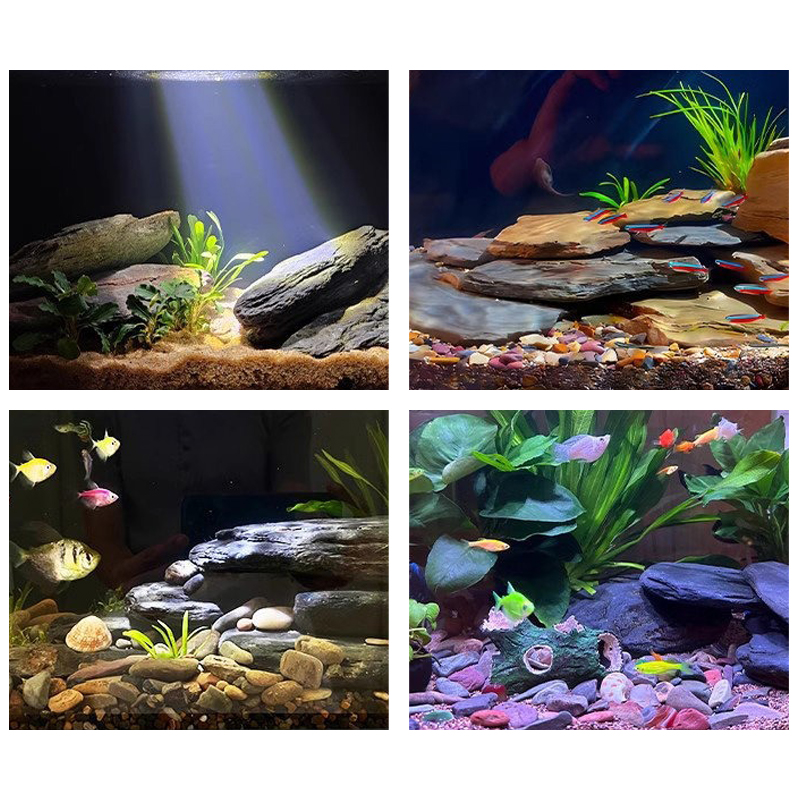 500/1000g Fish Tank Landscape  - огляд і ціна Fish Aquarium Home