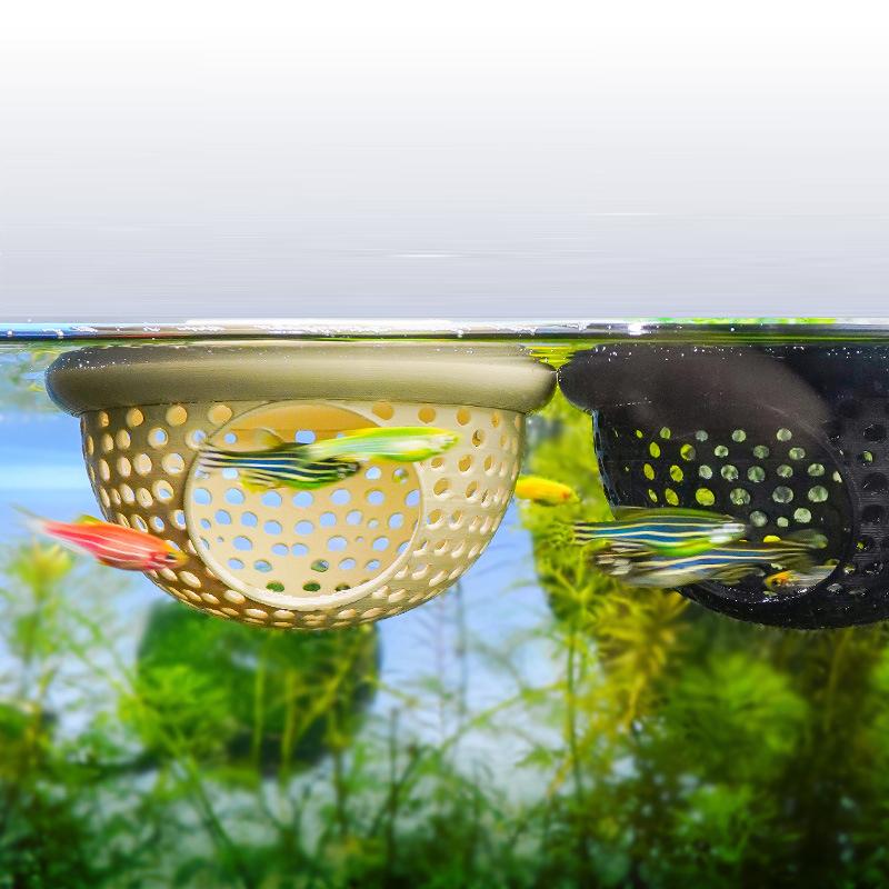 1 Pc Betta Fish Hammock Aquati - огляд і ціна Betta Fish Tank
