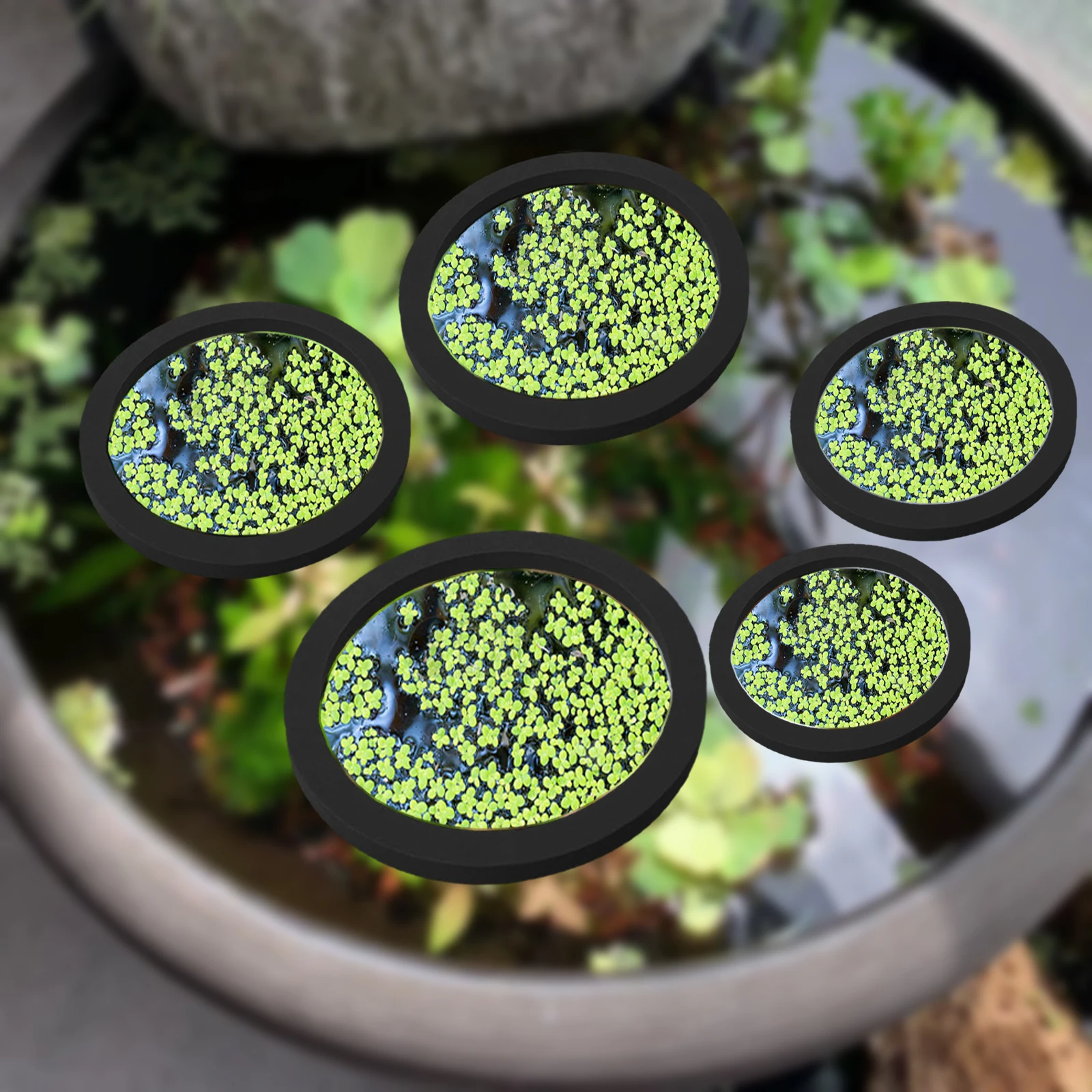 5Pcs EVA Fish Feeding Ring Aqu - огляд і ціна Fish Aquarium Home