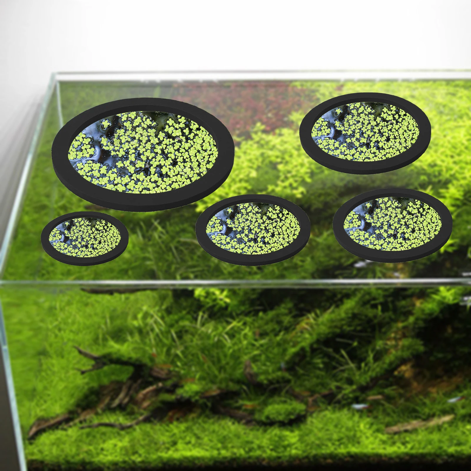 5Pcs EVA Fish Feeding Ring Aqu - огляд і ціна Fish Aquarium Home