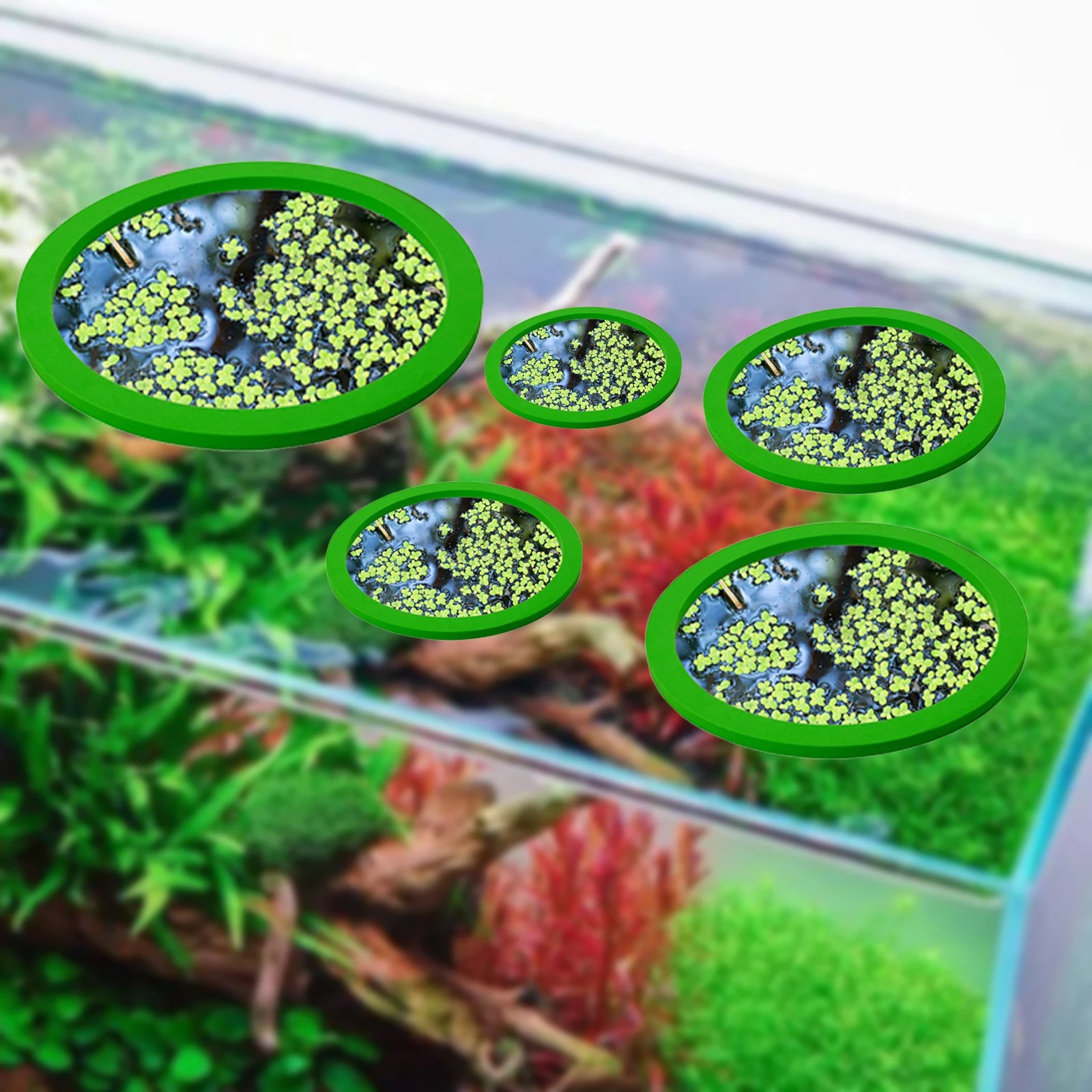 5Pcs EVA Fish Feeding Ring Aqu - огляд і ціна Fish Aquarium Home