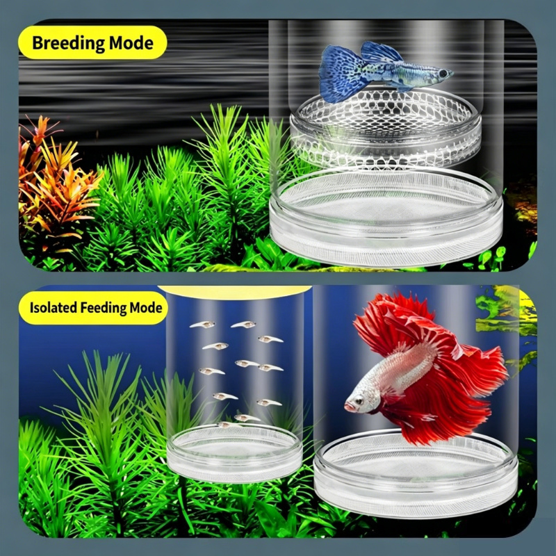 Transparent Floating Aquarium  - огляд і ціна Aquarium Fish Betta