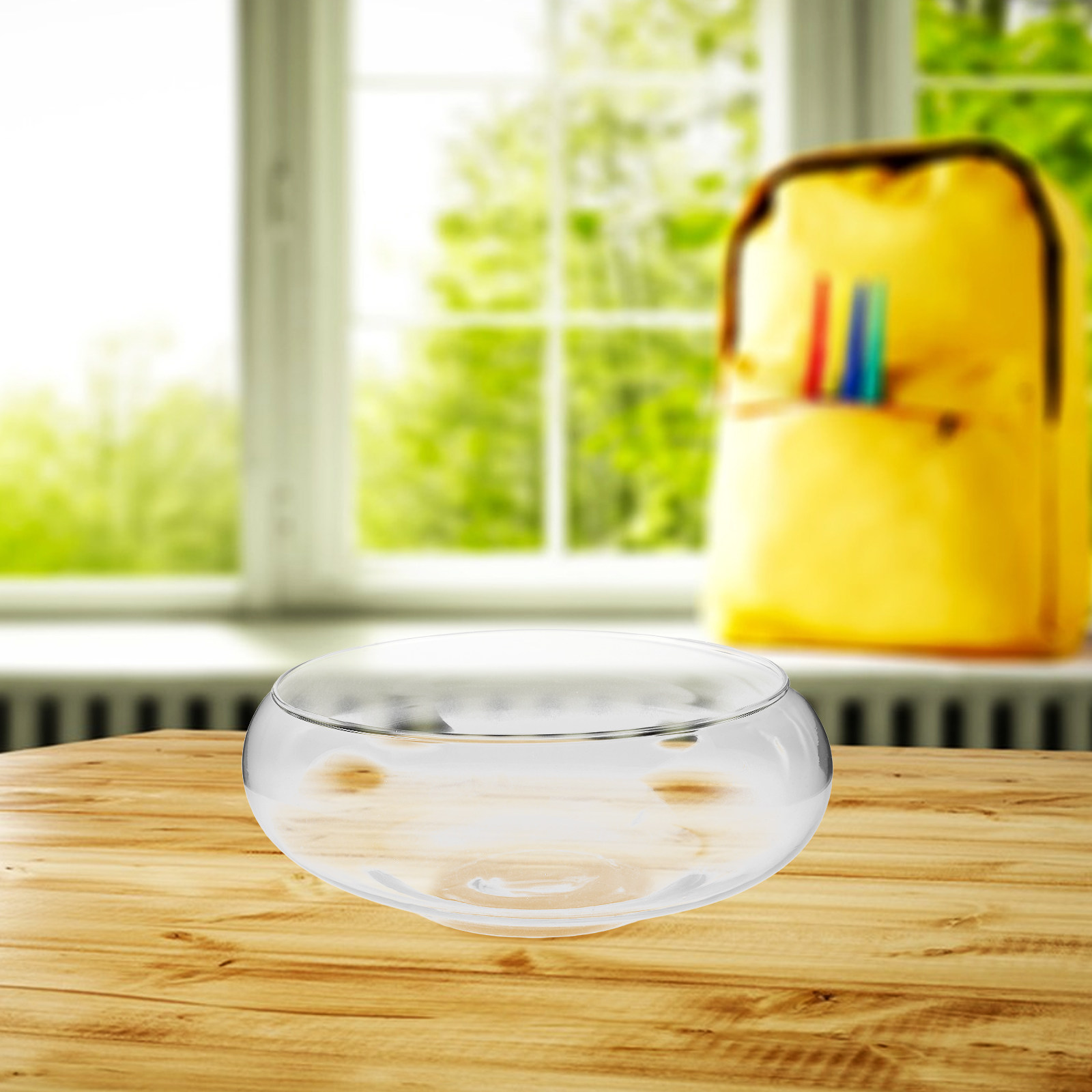 Glass Hydroponic Planter Bowl  - огляд і ціна Aquarium Plants